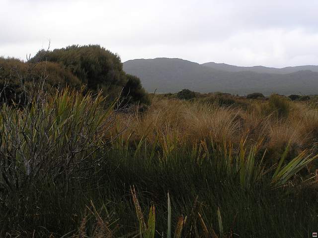steward island 006.jpg